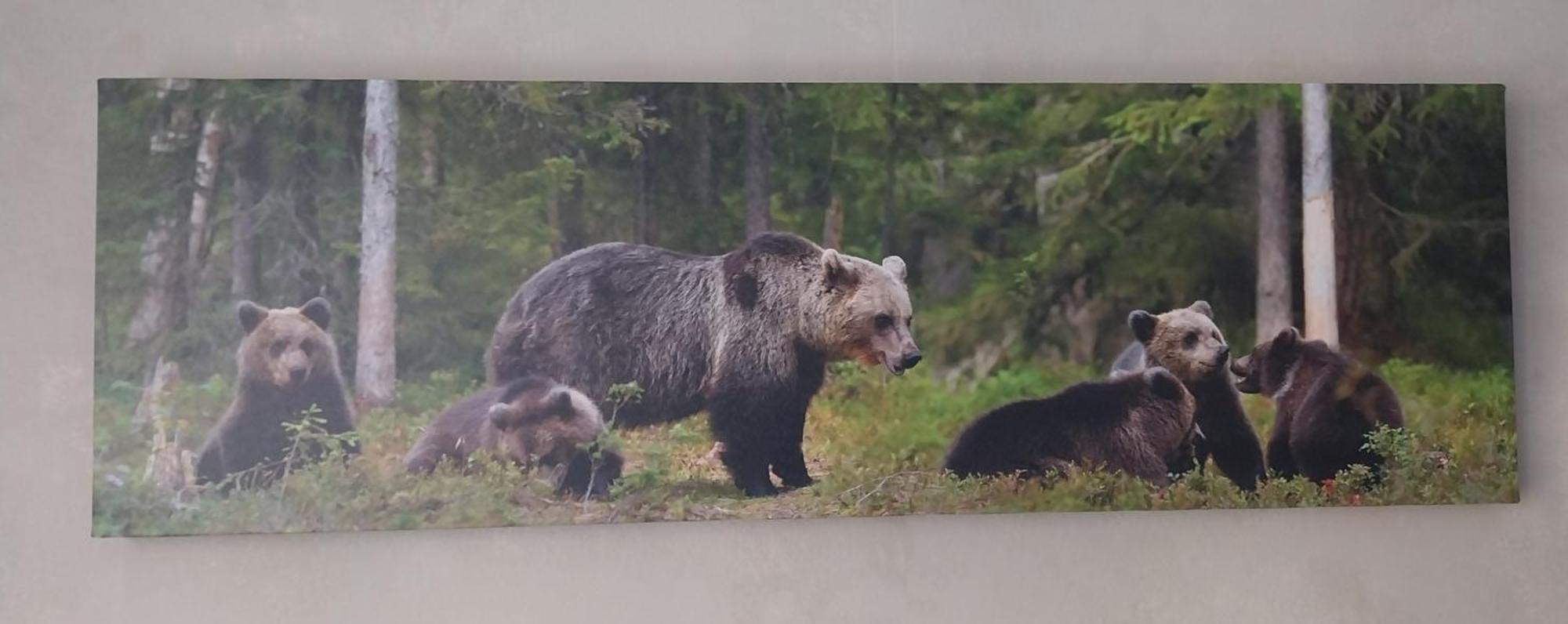 Hotel Les Deux Cols Sainte-Marie-de-Campan Dış mekan fotoğraf